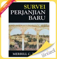 Survei Perjanjian Baru